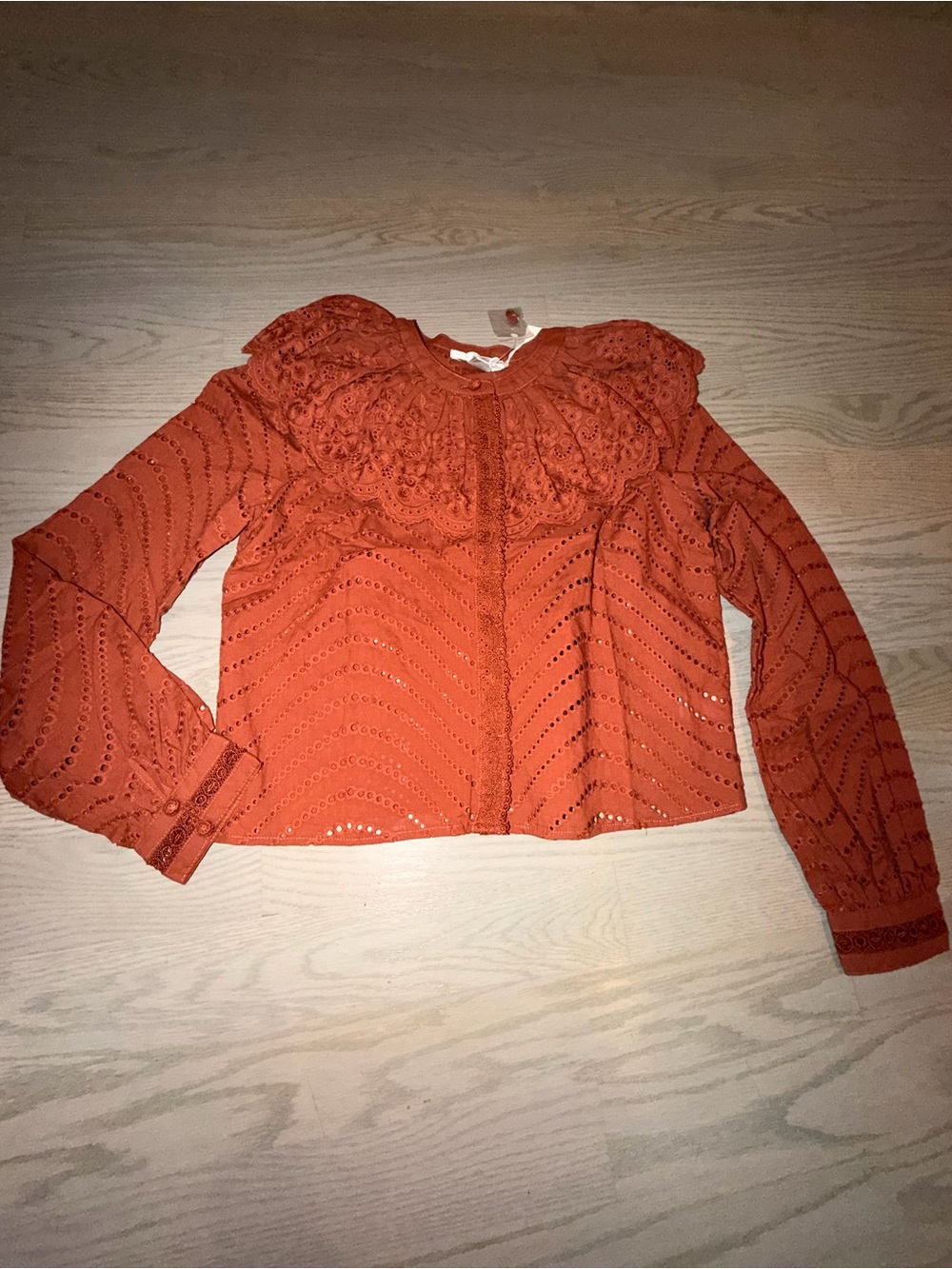 Caroline Constas Rust Eyelet Ruffle Blouse